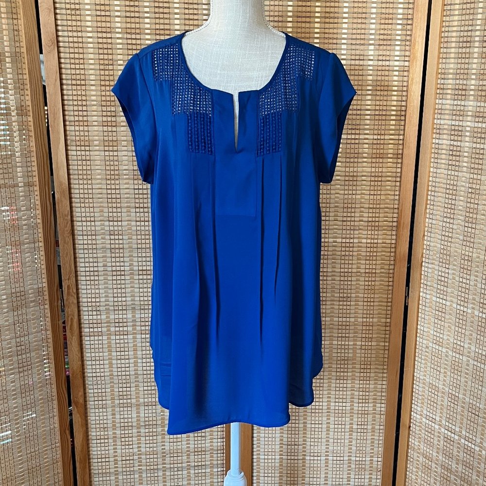 Daniel Rainn Blouse - Blue, Size 1X